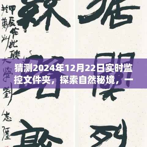 探索自然秘境的心灵之旅,猜想与启示——2024年12月22日文件夹内的风景探索