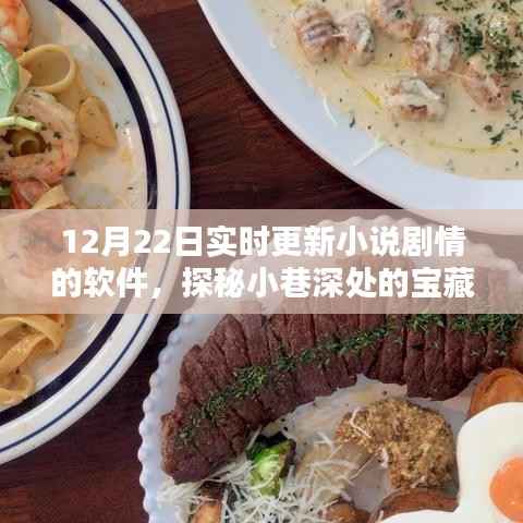 巷深宝藏揭秘,实时更新小说剧情的软件店