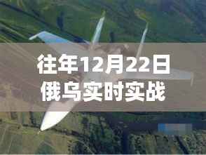 探秘俄乌战机实战体验馆,军事盛宴隐匿于喧嚣中的实战演练