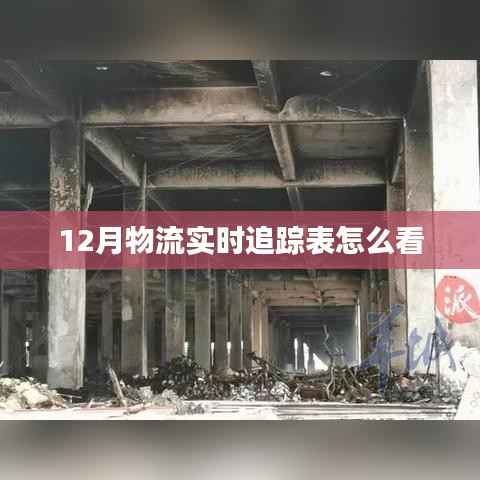 如何解读12月物流实时追踪表？
