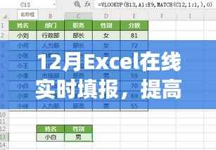 Excel在线实时填报,提高工作效率的实用指南