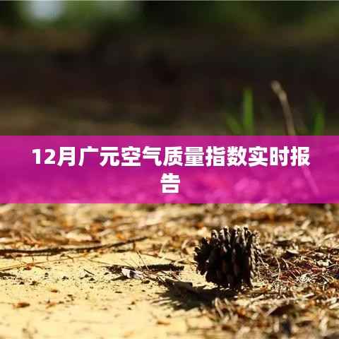 广元空气质量指数实时更新报告（12月）