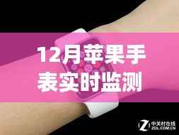 苹果手表实时监测，健康智能新体验