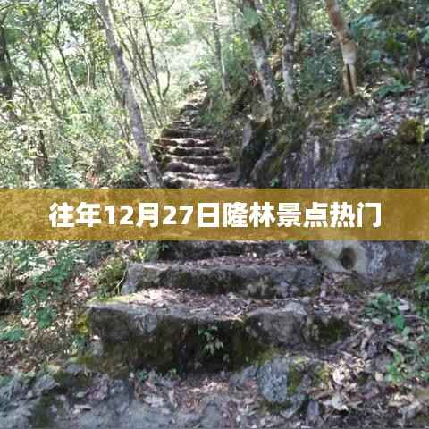 隆林景点热门游玩攻略，历年12月27日盘点
