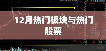 12月热门板块与股票全景解析