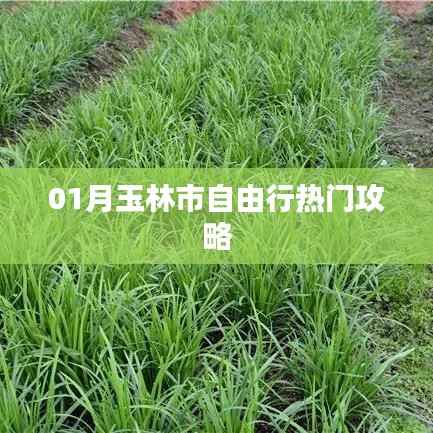 玉林市自由行一月热门攻略