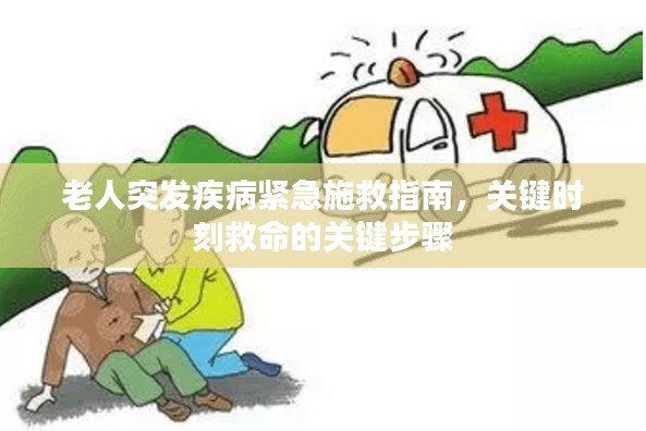 老人突发疾病紧急施救指南,关键时刻救命的关键步骤