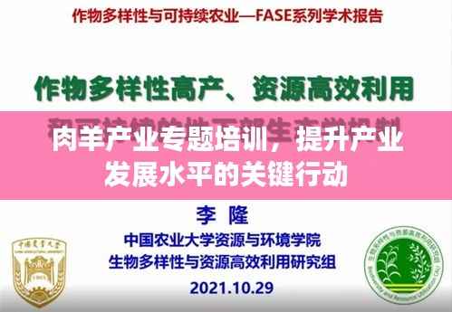 肉羊产业专题培训,提升产业发展水平的关键行动