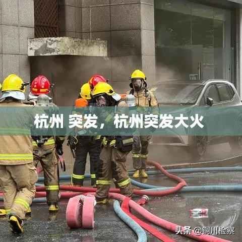 杭州 突发,杭州突发大火