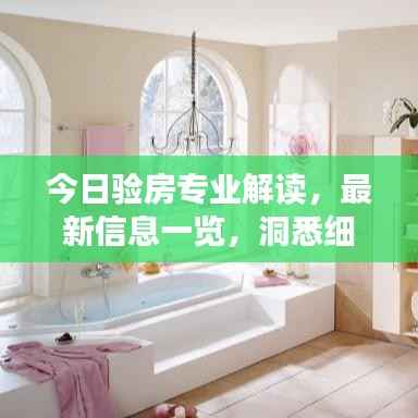 今日验房专业解读,最新信息一览,洞悉细节,助你安心收房