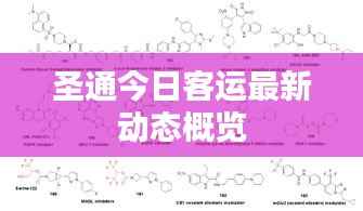 圣通今日客运最新动态概览