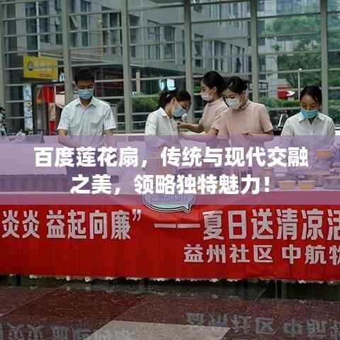 百度莲花扇,传统与现代交融之美,领略独特魅力!