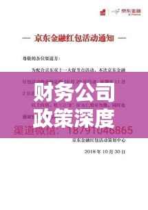 财务公司政策深度落实,理解与实践行动指南