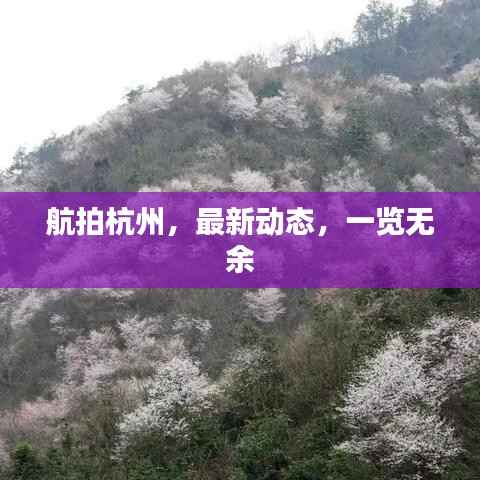 航拍杭州，最新动态，一览无余