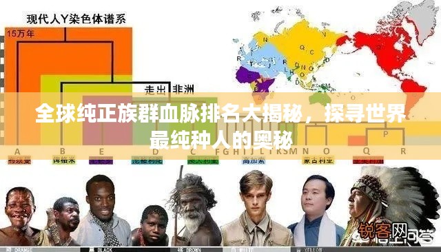全球纯正族群血脉排名大揭秘,探寻世界最纯种人的奥秘