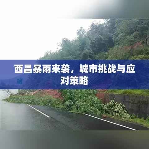 西昌暴雨来袭,城市挑战与应对策略