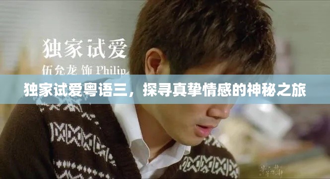 独家试爱粤语三,探寻真挚情感的神秘之旅