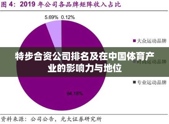 特步合资公司排名及在中国体育产业的影响力与地位