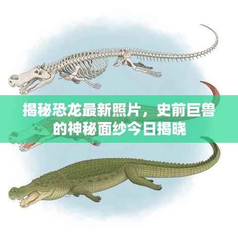 揭秘恐龙最新照片,史前巨兽的神秘面纱今日揭晓