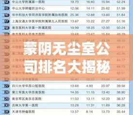 蒙阴无尘室公司排名大揭秘,权威榜单,不容错过!