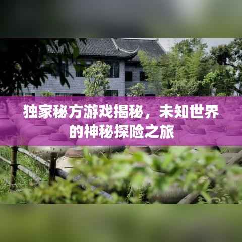 独家秘方游戏揭秘,未知世界的神秘探险之旅