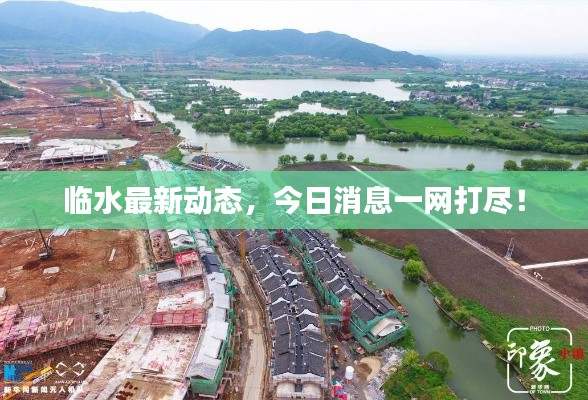 临水最新动态,今日消息一网打尽!