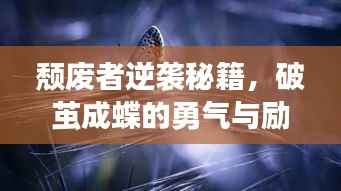颓废者逆袭秘籍,破茧成蝶的勇气与励志语录