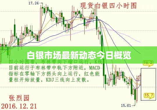 白银市场最新动态今日概览