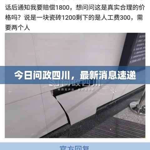 企业优势 第206页