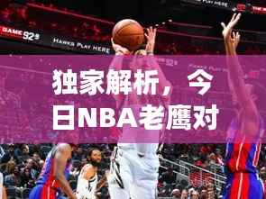 独家解析,今日NBA老鹰对决公牛,赛事前瞻与最新消息速递