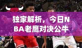 独家解析,今日NBA老鹰对决公牛,赛事前瞻与最新消息速递