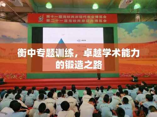 衡中专题训练,卓越学术能力的锻造之路