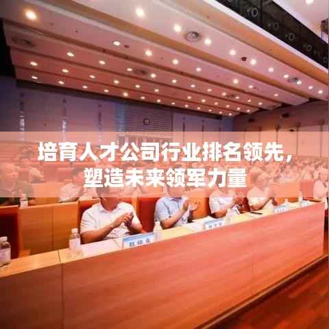 培育人才公司行业排名领先,塑造未来领军力量