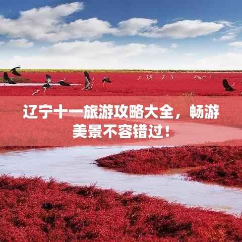 辽宁十一旅游攻略大全,畅游美景不容错过!