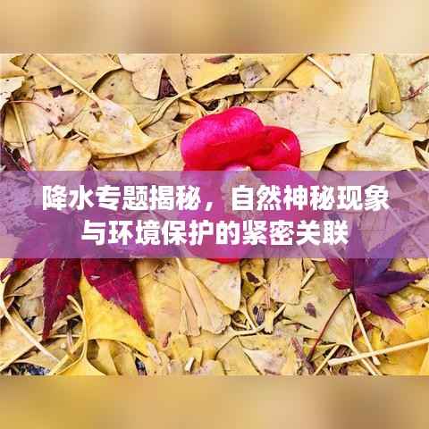 降水专题揭秘,自然神秘现象与环境保护的紧密关联