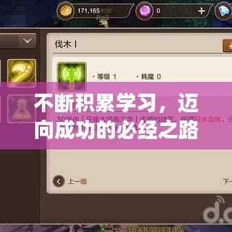 不断积累学习,迈向成功的必经之路