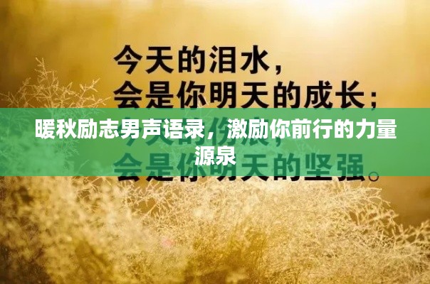 暖秋励志男声语录,激励你前行的力量源泉