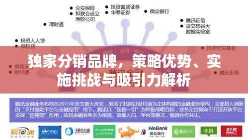 独家分销品牌,策略优势、实施挑战与吸引力解析
