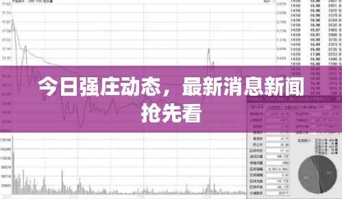 今日强庄动态,最新消息新闻抢先看