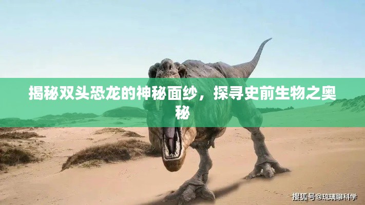揭秘双头恐龙的神秘面纱,探寻史前生物之奥秘