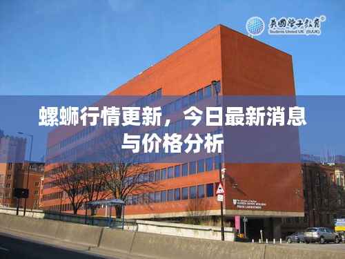 螺蛳行情更新，今日最新消息与价格分析