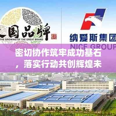 密切协作筑牢成功基石,落实行动共创辉煌未来