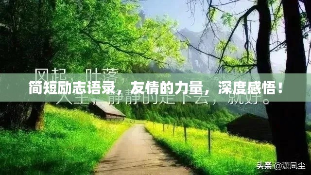 简短励志语录,友情的力量,深度感悟!