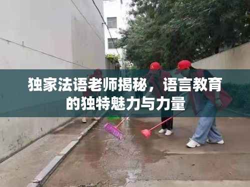 独家法语老师揭秘,语言教育的独特魅力与力量