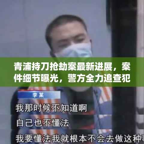 青浦持刀抢劫案最新进展,案件细节曝光,警方全力追查犯罪嫌疑人