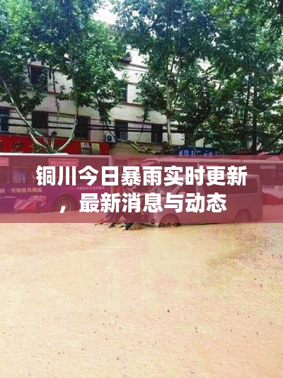 铜川今日暴雨实时更新,最新消息与动态