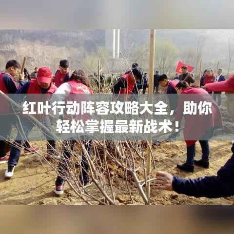 红叶行动阵容攻略大全,助你轻松掌握最新战术!