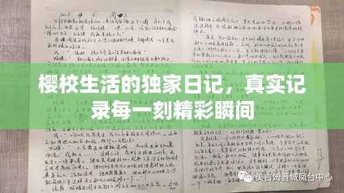 樱校生活的独家日记,真实记录每一刻精彩瞬间