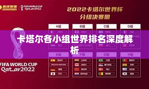 卡塔尔各小组世界排名深度解析