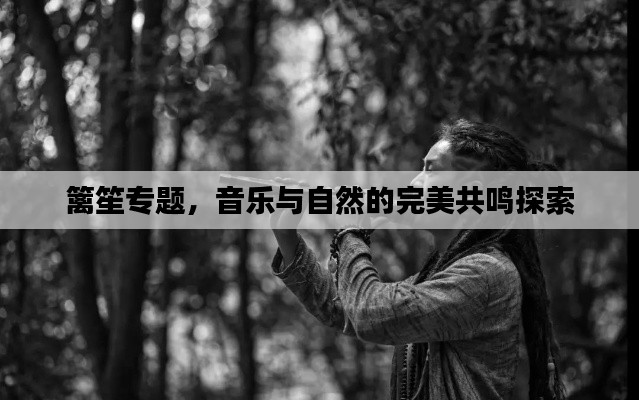 篱笙专题，音乐与自然的完美共鸣探索